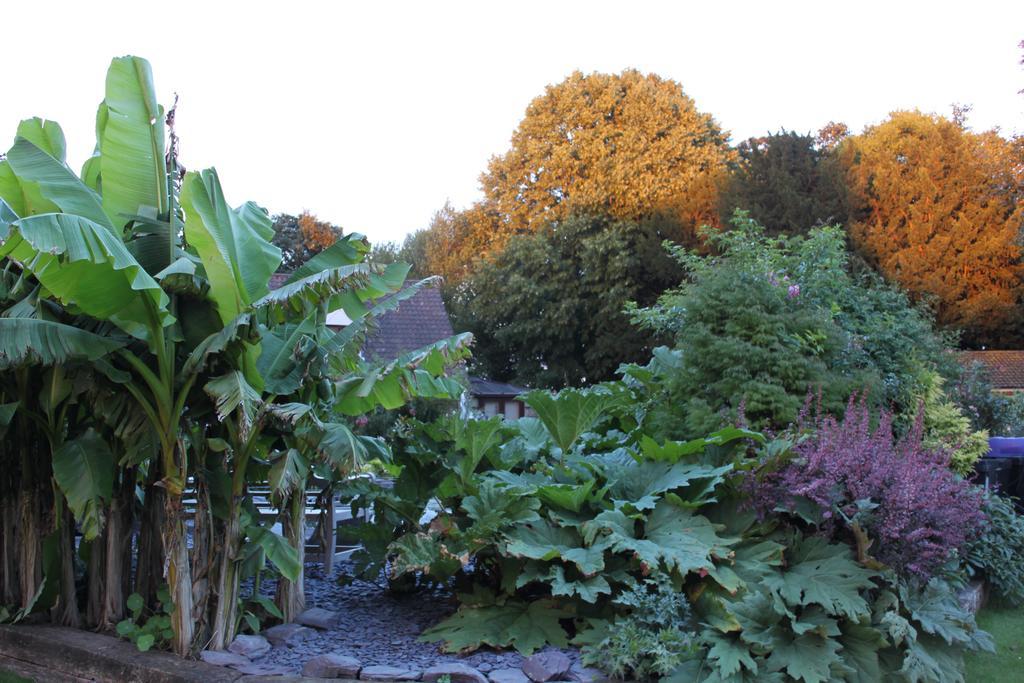 Drinkstone Park Bed And Breakfast Dış mekan fotoğraf